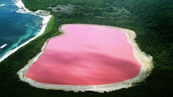 Rožinis Retba ežeras