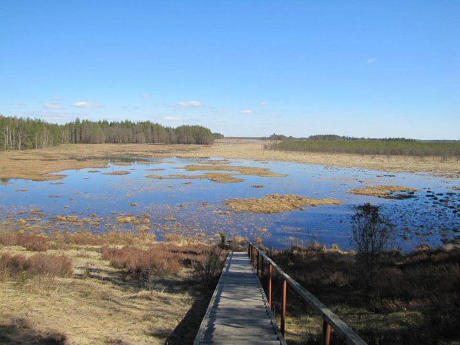 Baltijos aplinkos forumo nuotr./Dzūkijos nacionaliniame parke
