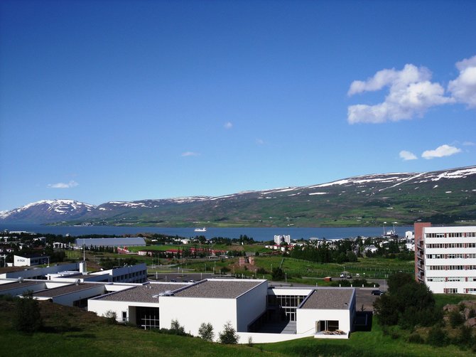 Audriaus Sabūno nuotr./Islandija. Akureirio kraštovaizdis