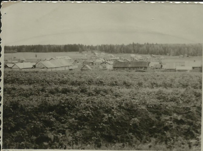 Asmeninio albumo nuotr./Galiašoro panorama 1949 m.