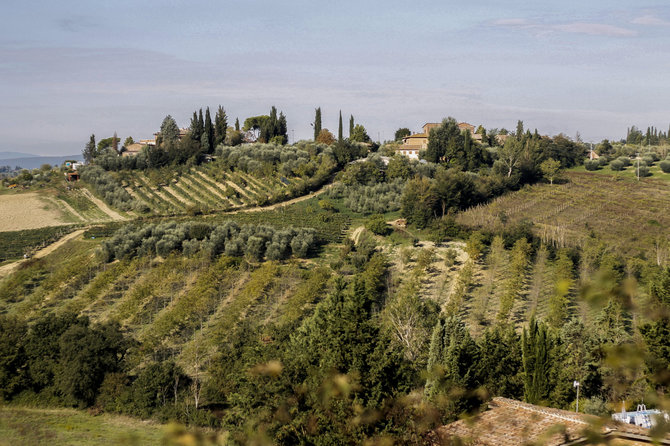 Gabijos Karlonaitės nuotr./Toskanos kraštovaizdis