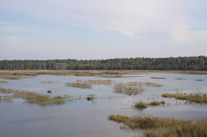 Raimondos Mikalčiūtės/15min.lt nuptr./Novaraistis