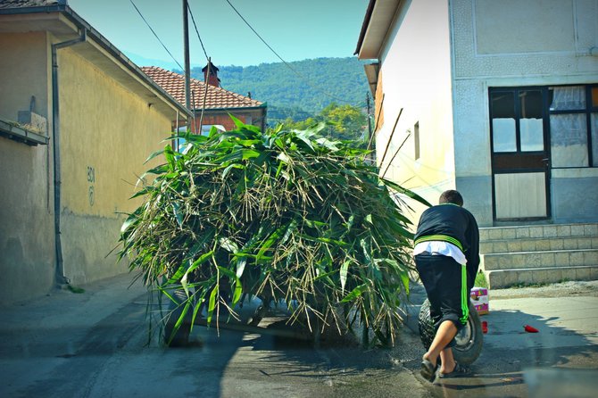 Manto Bertulio nuotr./Vieną ratą pametusi priekaba