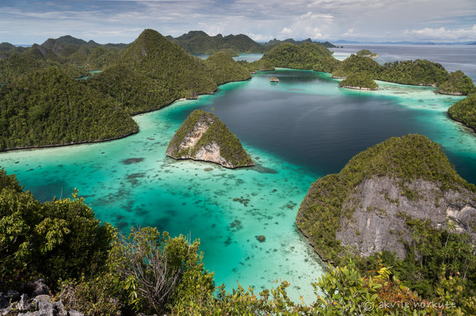 Akvilės Norkutės nuotr./Salynai Vakarų Papua Indonezijoje