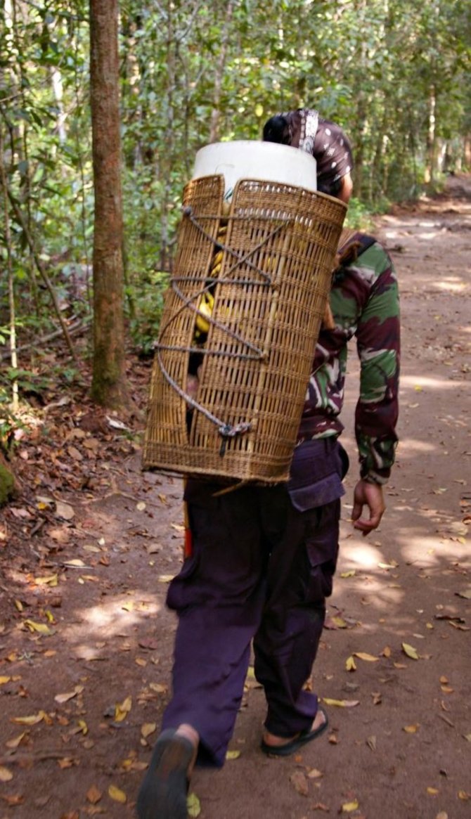Viktorijos Panovaitės nuotr./Štai tokiuose krepšiuose reindžeriai neša maistą orangutangams