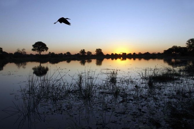 123rf.com nuotr./Okavango delta