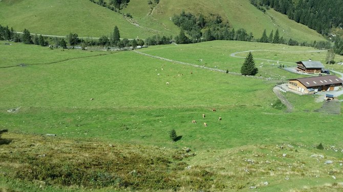 Asmeninio albumo nuotr./Vyčio ir Tomo kelionė dviračiais po Vokietiją, Austriją ir Čekiją