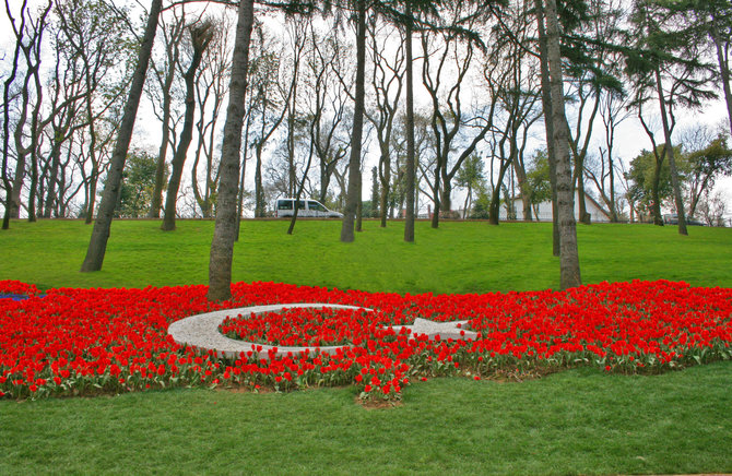 123rf.com nuotr./Emirgan parkas Stambule pavasarį traukia žiedais