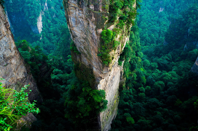 Tai ne specialieji efektai, o tikra gamta Zhangjiajie nacionaliniame miškų parke