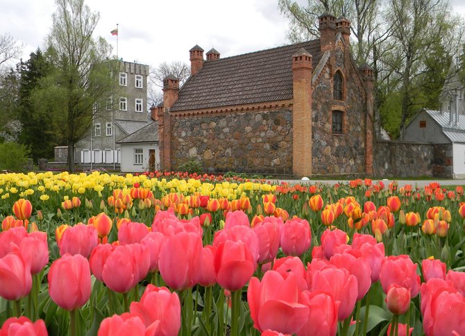 Valstybinio turizmo departamento nuotr./Tulpių laukai plyti Nyderlanduose, bet sodų rasti galima ir Lietuvoje