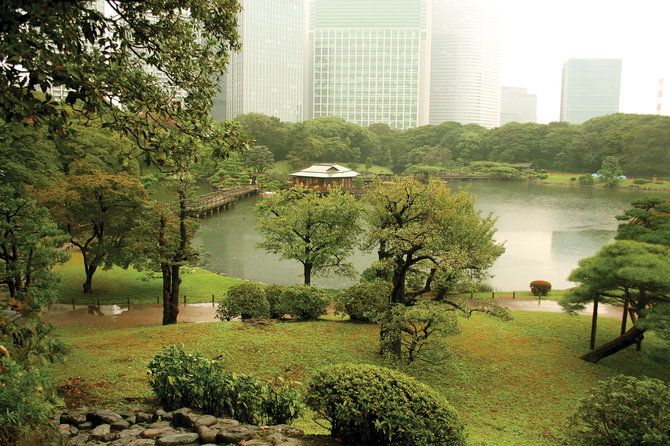 Asmeninės nuotr./Hamarikyu sodas