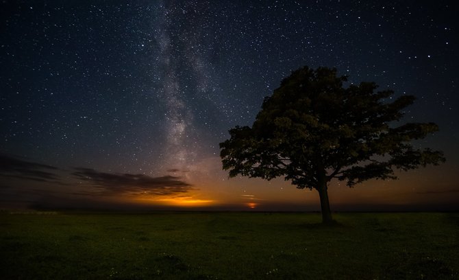 Tado Janušonio nuotr./Panorama