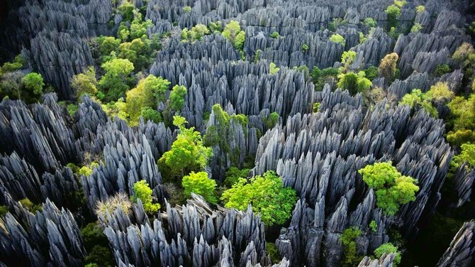 Unreveunvoyage.fr nuotr./Madagaskaro gamtos įvairovė įspūdinga