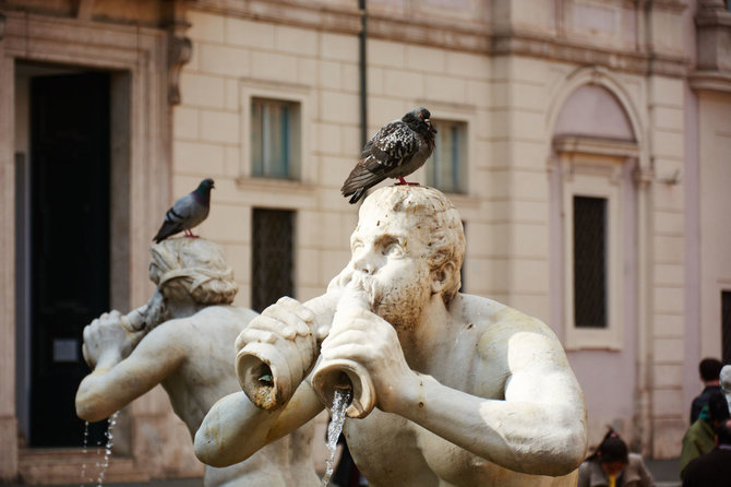 Fotolia.com nuotr./Piazza Navona, Romoje
