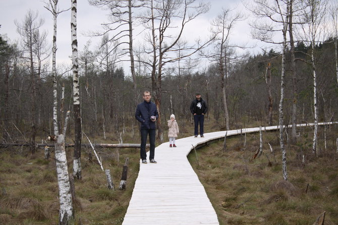 R.Mikalčiūtės/ 15min.lt nuotr./Pasivaikščioti po Dubravos rezervatinę apyrubę galima ramiai – turistų ten nedaug