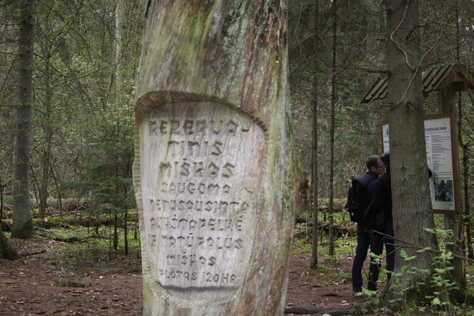 R.Mikalčiūtės/ 15min.lt nuotr./Dubravos rezervatinė apyrubė