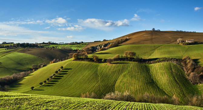 Fotolia nuotr./Kampanijos regionas 