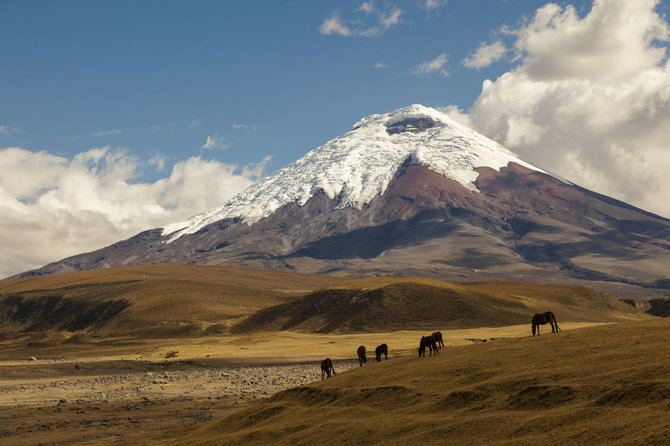 Shutterstock.com/Stovyklauti ugnikalnio pašonėje siūloma Ekvadore