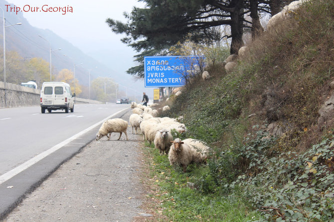 Algirdo Striogos nuotr./Gruzija