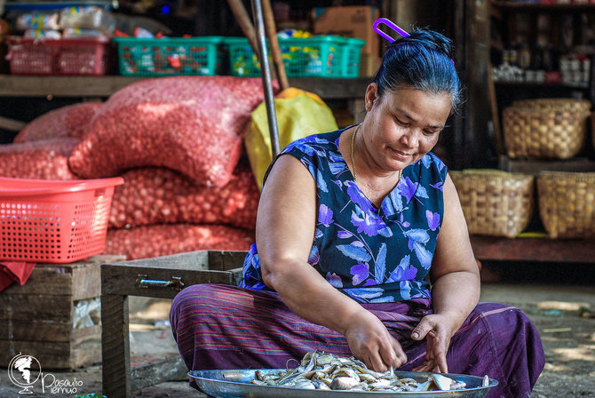 Tomo Baranausko nuotr./Birmietė moteris perrenka ką tik sugautą žuvį pardavimui turguje