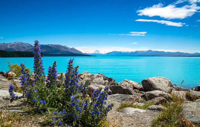 Shutterstock.com/Pukaki ežeras