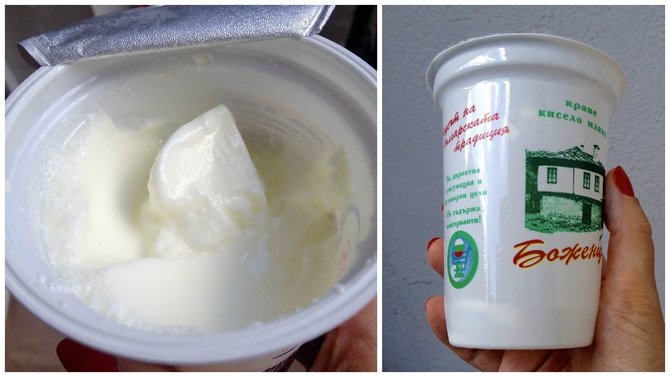 Virginijos Pupeikytės-Dzhumerovos nuotr./Bulgarijoje būtina paragauti vietinio jogurto