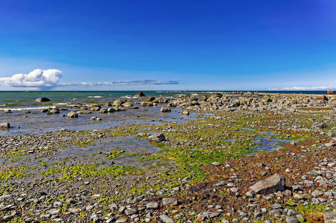 123rf.com/Hyjuma sala, Estija