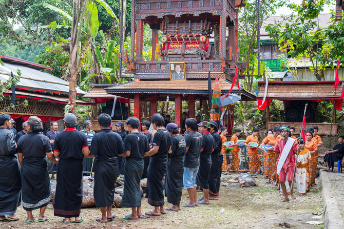 Shutterstock.com/Tana Toraja kaime laidotuvės – šventė