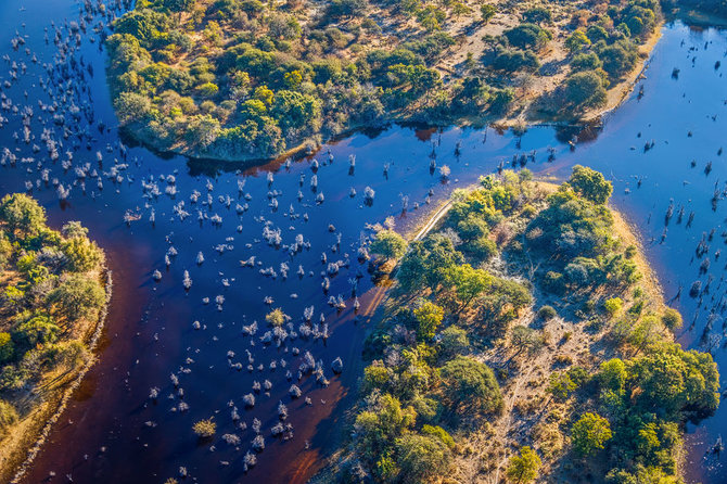 Shutterstock.com/Okavango delta