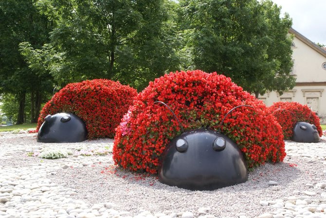 Arčio Gustovskio, Sandrio Kuzmickio nuotr./Gėlių skulptūra Ventspilyje „Trys boružėlės“