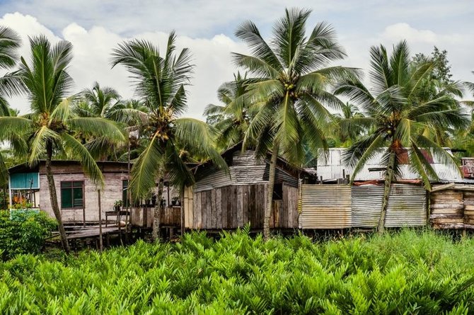 Shutterstock nuotr./Papua Naujoji Gvinėja