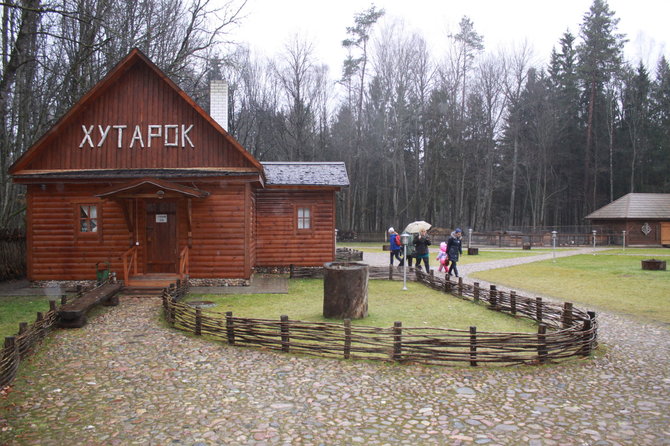 Raimondos Mikalčiūtės-Urbonės/15min.lt nuotr./IMG_1100