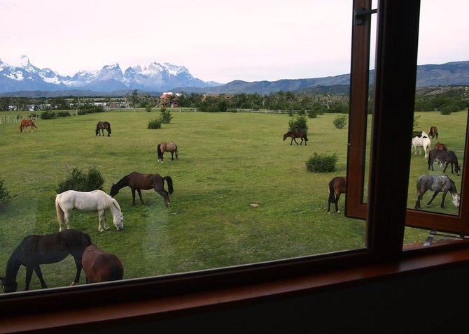 Žydronės Lukšytės nuotr./Čilė, Patagonija