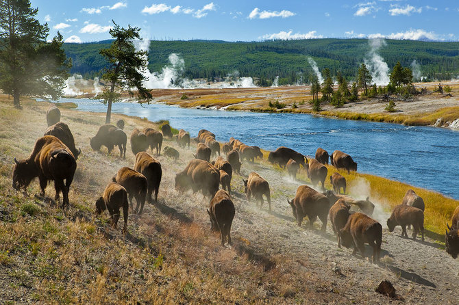 Shutterstock nuotr./Jeloustouno nacionalinis parkas