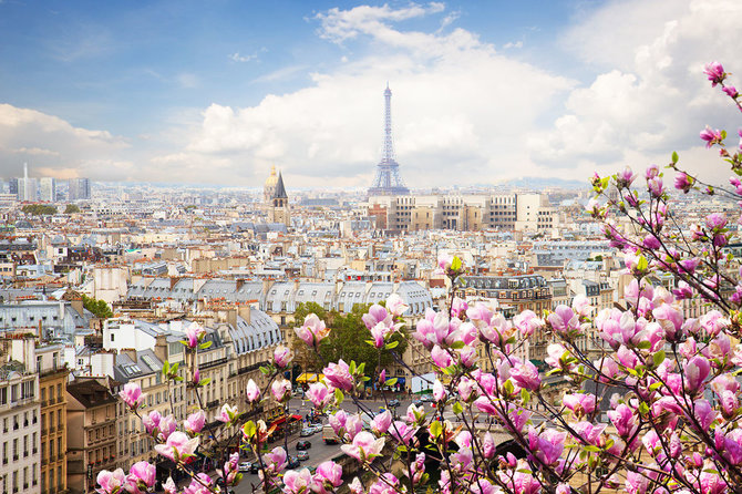 Shutterstock nuotr./Paryžius žieduose