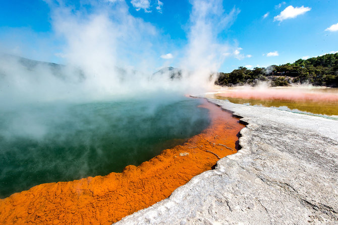 Shutterstock nuotr./Rotorua