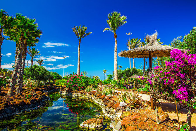 Shutterstock nuotr./Fuerteventura