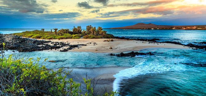 Shutterstock nuotr./Galapagų salos