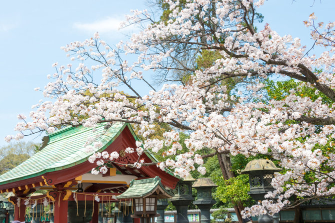 Shutterstock nuotr./Ueno parkas