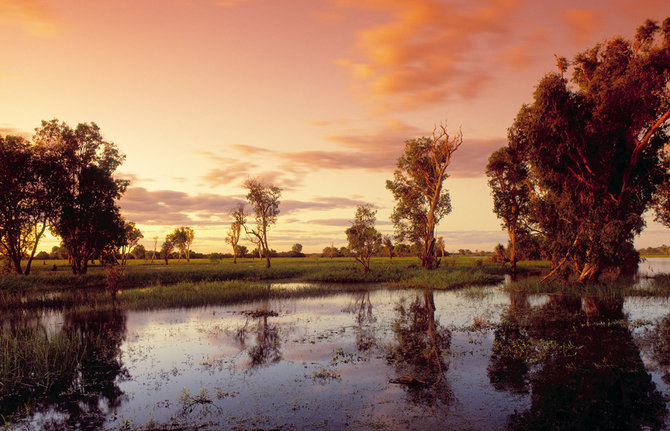 Shutterstock nuotr./Kakadu nacionalinis parkas