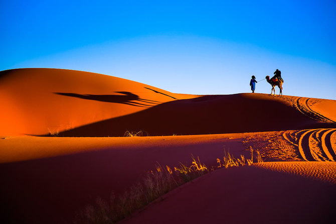 Shutterstock nuotr./Sacharos dykuma