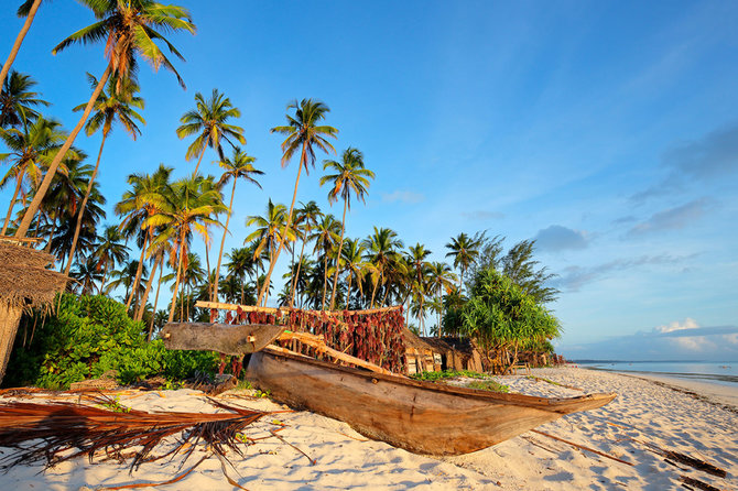 Shutterstock nuotr./Zanzibaro salynas