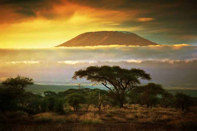 Shutterstock nuotr./Kilimandžaras