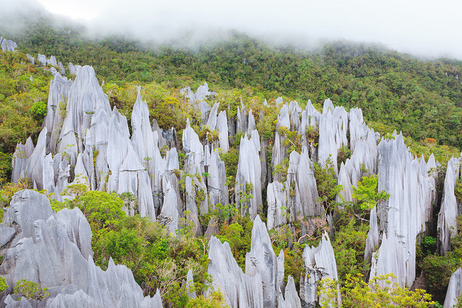 Shutterstock nuotr./„Gunung Mulu“