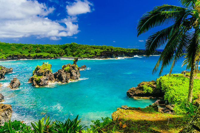 Shutterstock nuotr./Maui sala