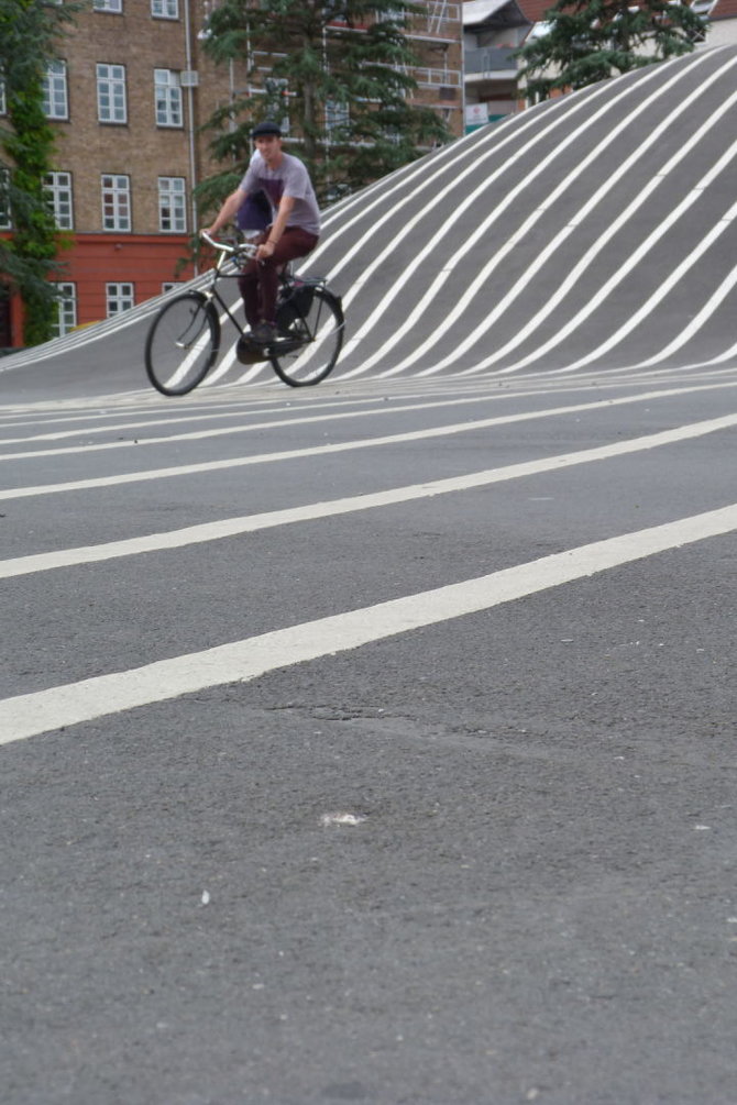 Evelinos Garnelytės nuotr./Dviračiai Kopenhagoje – privaloma transporto priemonė tiek vietiniams, tiek turistams