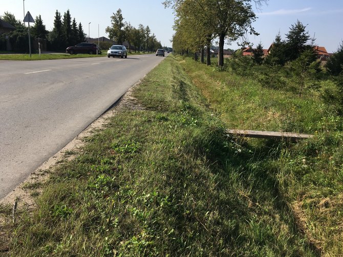 Aurelijos Jašinskienės/15min.lt nuotr./Per pakelės griovį vaikai eina mediniais „liepteliais“. 