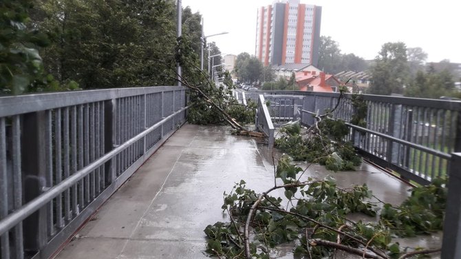 Tomo Ruginio nuotr./Nulaužtos medžių šakos ant pėsčiųjų tilto Klaipėdoje