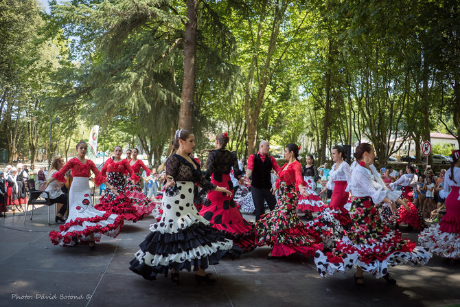 Organizatorių nuotr./Klaipėdoje vyks festivalis Europiada