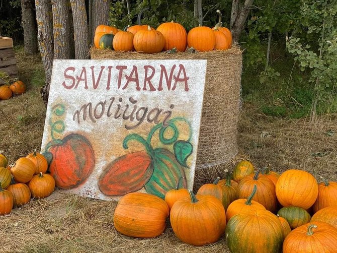 Asmeninio archyvo nuotr./Prie namo šeima pasistatė savitarnos parduotuvėlę.